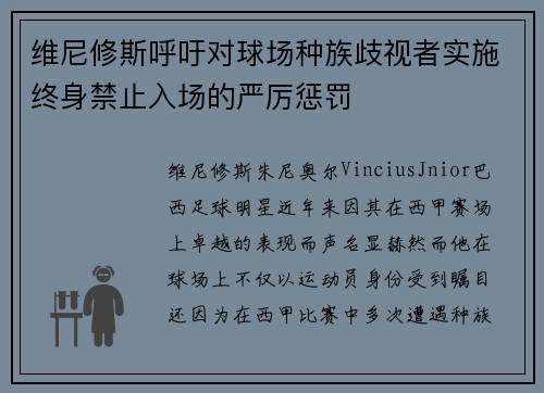 维尼修斯呼吁对球场种族歧视者实施终身禁止入场的严厉惩罚 维尼修斯呼吁对球场种族歧视者实施终身禁止入场的严厉惩罚